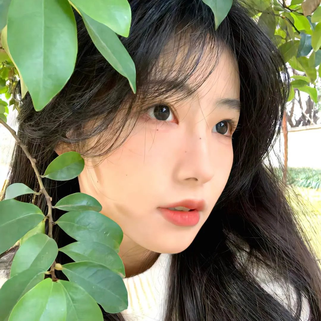 明星大侦探第六季